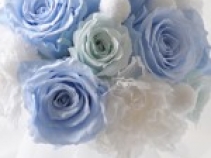 FLORAL NEW YORK STYLE CLASS-1