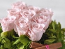 FLORAL NEW YORK STYLE CLASS-2