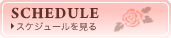スケジュール